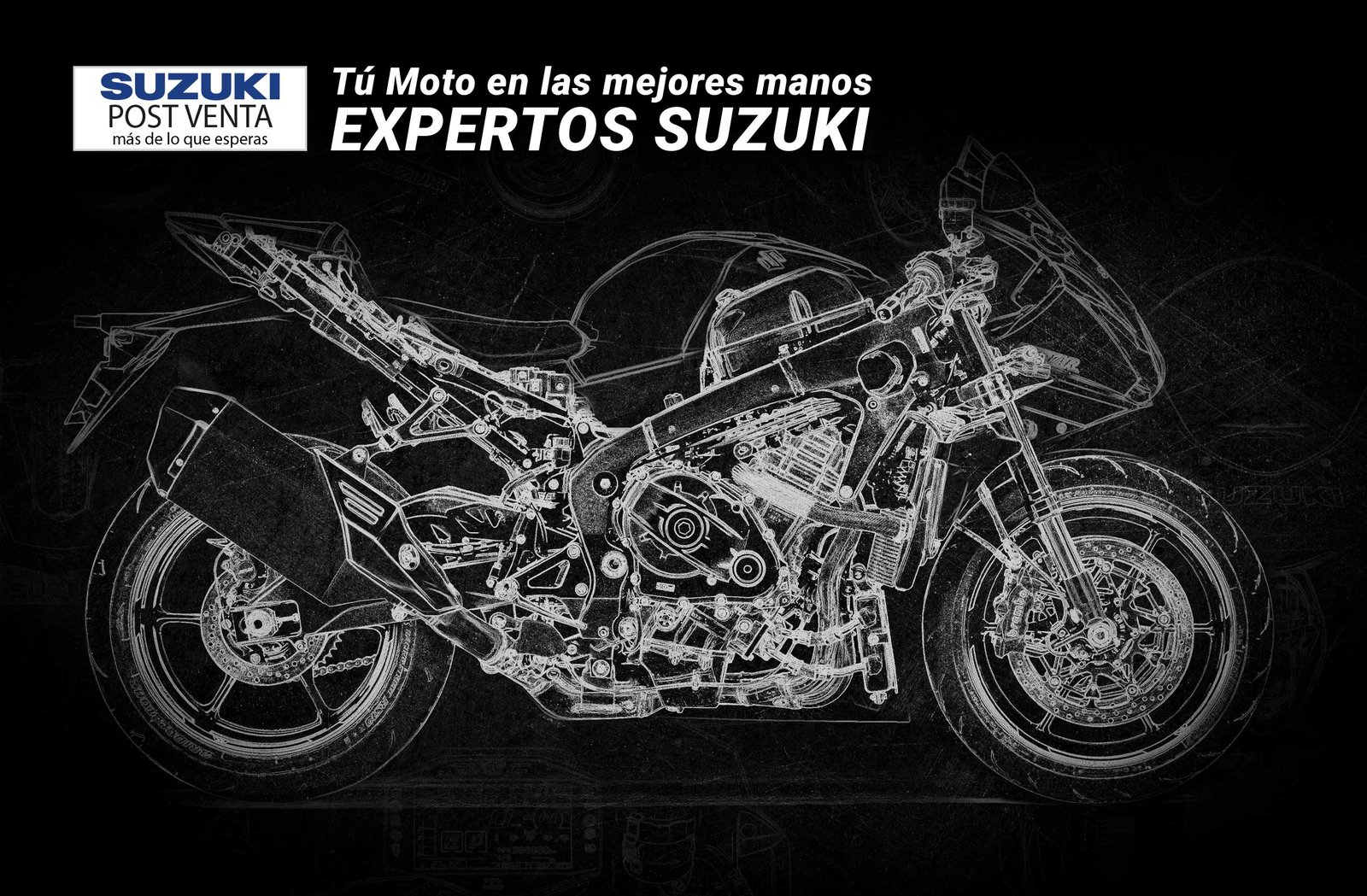 Expertos Suzuki